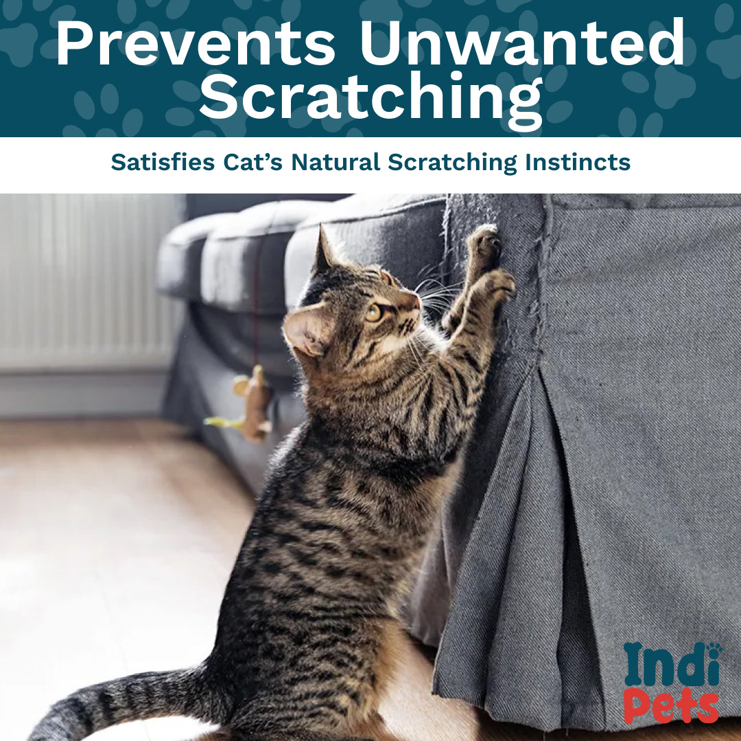 Scratch and Play Pad