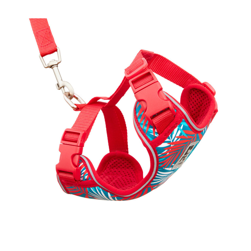RC Pets Adventure Kitty Harness