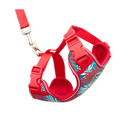 RC Pets Adventure Kitty Harness