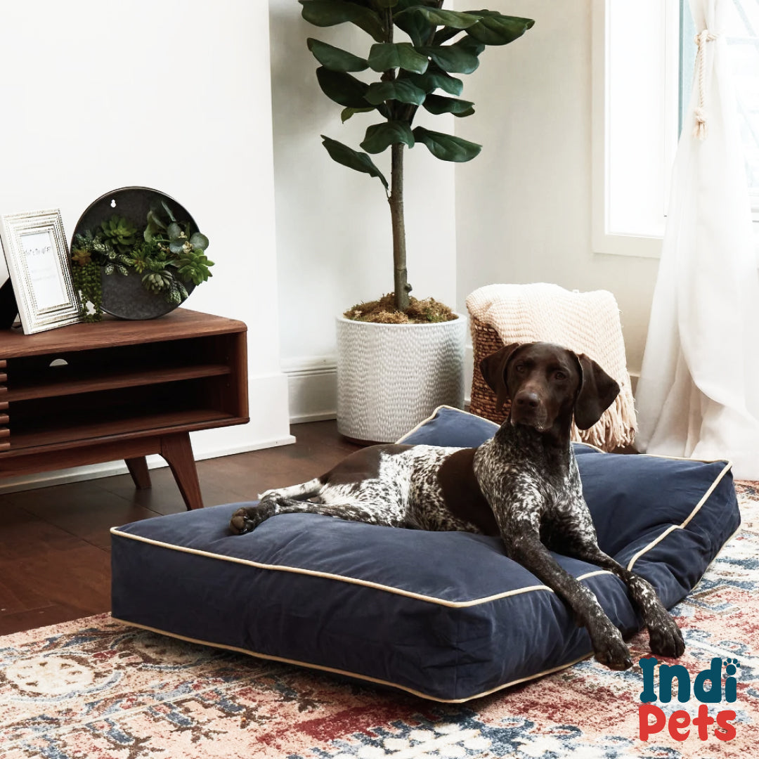 Comfort Cushion Pet Bed