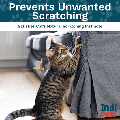 Scratch and Play Pad