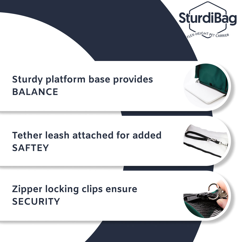 SturdiBag Pet Travel Carrier