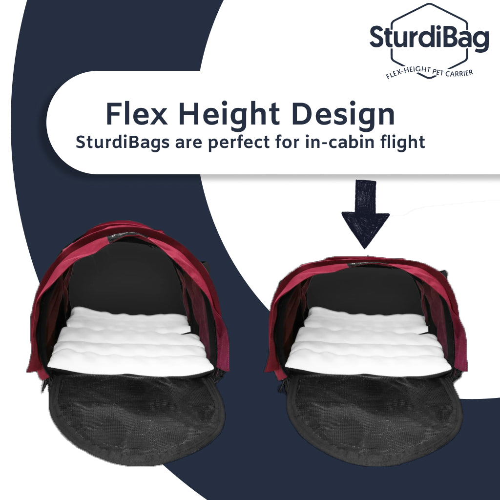 SturdiBag Pet Travel Carrier