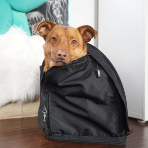 SturdiBag XL Travel Pet Carrier with Chimi - Fuzzy Puppy Pet Products